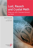 David Fawcett, David (PhD) Fawcett - Lust, Rausch und Crystal Meth