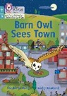 Charlotte Raby, Raby Charlotte, Andy Rowland, Rowland Andy - Barn Owl Sees Town