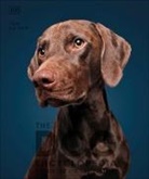 DK - The Dog Encyclopedia