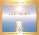Sigrid Beckmann-Lamb - SEI DU SELBST! - Erinnere dich! Die Zeit ist da (Audio book)