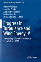 Luciano Castillo, Michael Hölling, Martin Oberlack, Joachim Peinke, Alessandro Talamelli - Progress in Turbulence and Wind Energy IV