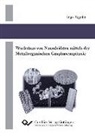 Ingo Regolin - Wachstum von Nanodrähten mittels der Metallorganischen Gasphasenepitaxie