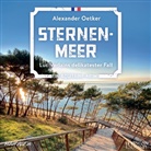 Alexander Oetker, Frank Arnold - Sternenmeer, 1 Audio-CD, MP3 (Hörbuch)