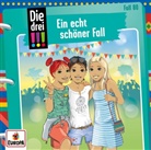 Kari Erlhoff - Die drei !!! - Ein echt schöner Fall, 1 Audio-CD (Audio book)