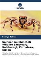 Supriya Talwar - Spinnen im Chincholi Wildlife Sanctuary, Kalaburagi, Karnataka, Indien