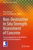 Balayssac, Jean-Paul Balayssac, Denys Breysse - Non-Destructive In Situ Strength Assessment of Concrete
