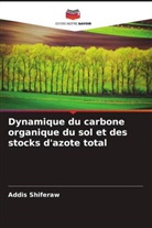 Addis Shiferaw - Dynamique du carbone organique du sol et des stocks d'azote total