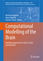 Michele Giugliano, Daniele Linaro, Mario Negrello - Computational Modelling of the Brain
