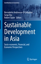 Bernadette Andreosso-O'Callaghan, Serge Rey, Robert Taylor - Sustainable Development in Asia