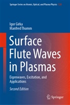 Igor Girka, Manfred Thumm - Surface Flute Waves in Plasmas
