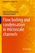 Fabio Toshio Kanizawa, Gherhardt Ribatski - Flow boiling and condensation in microscale channels