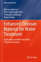 Ikenna Emeji, Ephraim Igberase, Peter Ogbemudia Osifo, Seodigeng, Tumisang Seodigeng - Enhanced Chitosan Material for Water Treatment