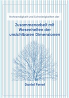 Daniel Perret - Zusammenarbeit mit Wesenheiten der unsichtbaren Dimensionen