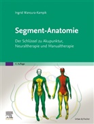 Ingrid Wancura-Kampik - Segment-Anatomie
