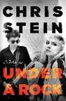 CHRIS STEIN, Chris Stein, Stein Chris - Under A Rock