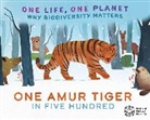 Vivian Mineker, Sarah Ridley, Ridley Sarah, SARAH RIDLEY, Vivian Mineker - One Life, One Planet: One Amur Tiger in Five Hundred