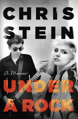 CHRIS STEIN, Chris Stein, Stein Chris - Under A Rock