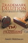 AMIR FRIEDMAN - TRADEMARK DILUTION