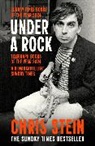 CHRIS STEIN, Chris Stein, Stein Chris - Under A Rock