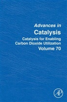 Montserrat Dieguez, Montserrat Diéguez, Arjan Kleij - Catalysis for Enabling Carbon Dioxide Utilization