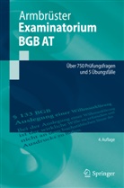 Christian Armbrüster - Examinatorium BGB AT