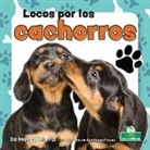 Harold Morris - Locos Por Los Cachorros (Crazy about Puppies)