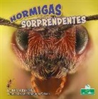 Miranda Kelly - Hormigas Sorprendentes (Amazing Ants)