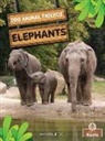 Amy Culliford - Elephants