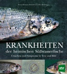 Hochwartner, Oliver Hochwartner, Elisabeth Licek, Thomas Weismann - Krankheiten der heimischen Süßwasserfische