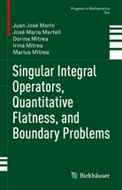 Juan José Marín, José María Martell, Dorin Mitrea, Dorina Mitrea, Irina Mitrea, Marius Mitrea - Singular Integral Operators, Quantitative Flatness, and Boundary Problems