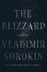 Vladimir Sorokin, Vladimir/ Gambrell Sorokin - The Blizzard
