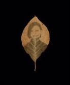Binh Danh, Binh Danh - Binh Danh: The Enigma of Belonging