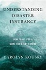 Carolyn Kousky - Understanding Disaster Insurance
