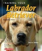 September Morn, Morn September - Training Your Labrador Retriever