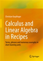 Christian Karpfinger - Calculus and Linear Algebra in Recipes