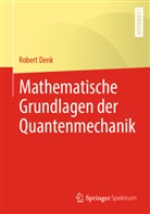 Denk, Robert Denk - Mathematische Grundlagen der Quantenmechanik