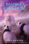 Erin Hunter - Bamboo Kingdom #3: Journey to the Dragon Mountain