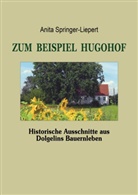 Anita Springer-Liepert - Zum Beispiel Hugohof