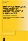 Elliott Lash, National University Ireland Maynooth, Fangzhe Qiu, David Stifter - Morphosyntactic Variation in Medieval Celtic Languages