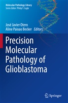Aline Paixao Becker, José Javier Otero, José Javier Otero, Paixao Becker - Precision Molecular Pathology of Glioblastoma