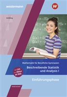 Klaus Schilling - Mathematik für Berufliche Gymnasien Niedersachsen