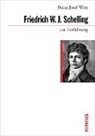 Franz Josef Wetz - Friedrich W. J. Schelling zur Einführung