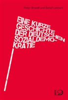 Peter Brandt, Detlef Lehnert - Eine kurze Geschichte der deutschen Sozialdemokratie
