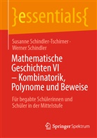 Werner Schindler, Susanne Schindler-Tschirner - Mathematische Geschichten VI - Kombinatorik, Polynome und Beweise