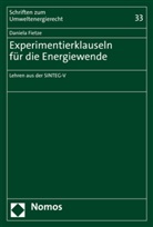 Daniela Fietze - Experimentierklauseln für die Energiewende