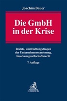 Joachim Bauer - Die GmbH in der Krise