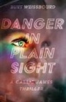Burt Weissbourd - Danger in Plain Sight