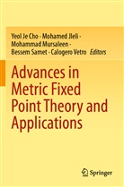 Yeol Je Cho, Mohamed Jleli, Mohammad Mursaleen, Mohammad Mursaleen et al, Bessem Samet, Calogero Vetro - Advances in Metric Fixed Point Theory and Applications
