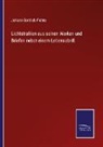 Johann Gottlieb Fichte - Lichtstrahlen aus seinen Werken und Briefen nebst einem Lebensabriß