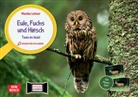Monika Lehner - Eule, Fuchs und Hirsch. Tiere im Wald